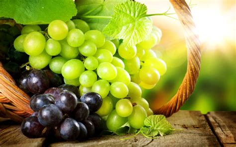 grapes images hd|grapes background images.